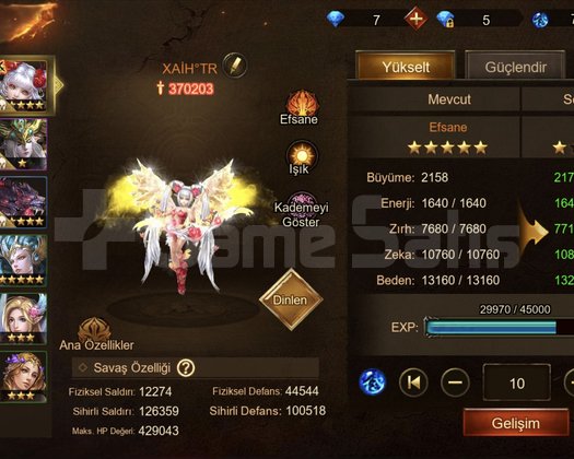 80 Lv Mage Hesap