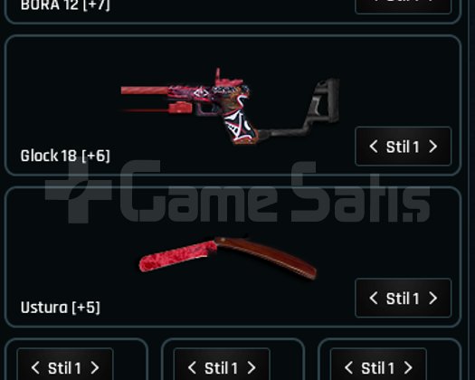 +7 bora-12 +6 m6 lwrc +6 glock18 full + full