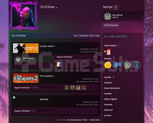 CS2 seckin +7 madalya + 34 lv