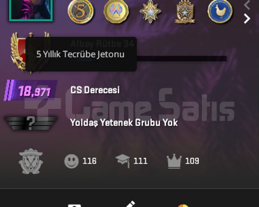 CS2 seckin +7 madalya + 34 lv