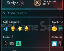 280 oyunlu steam hesabı
