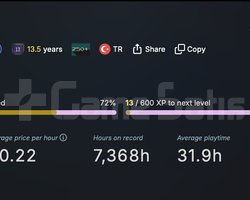 13 Yıllık, 317 Oyun, 447 DLCli 2500lık Hesap