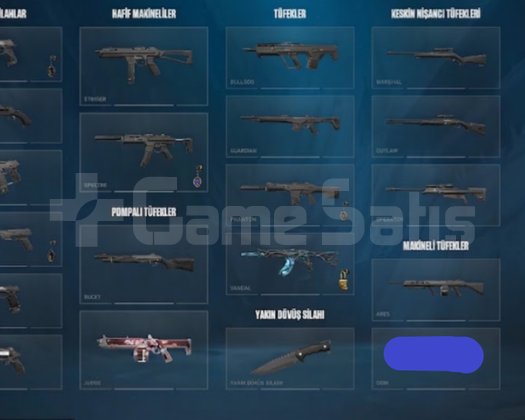 PLAT 1 SKİNLİ HESAP BU HESAP ALINIR!
