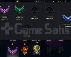 Master 47 LP 31 lp alan adc jg main hesap