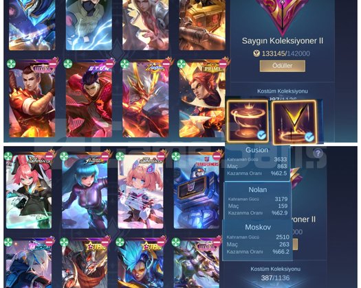 SAYGIN 2 - 387 SKINS