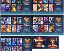MEGA 4 - 491 SKINS