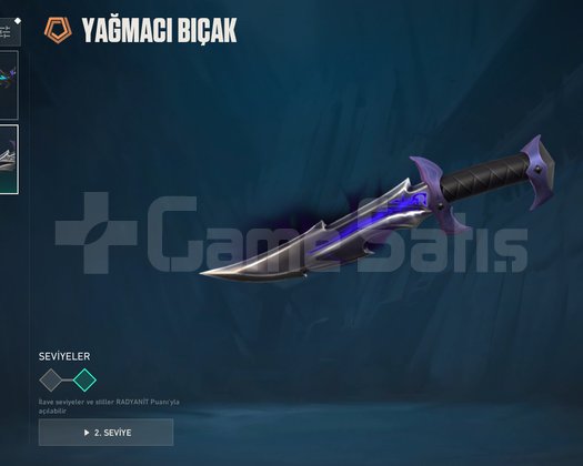 ASCENDANT 2 RANK 4 VANDAL 2 KARAMBIT 323 SEVIYE