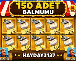 KAMPANYA 150 balmumu