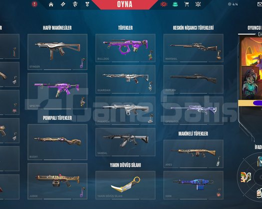 Güncel İmmo Mainlik Hesap 247lvl