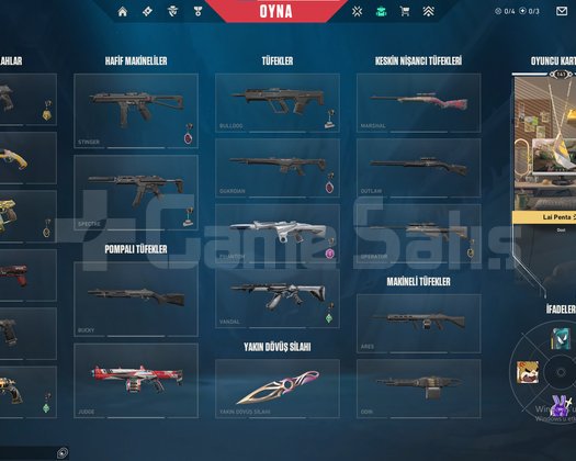 Skinli Plat-Elmas yücelik mmr lı tr hesap