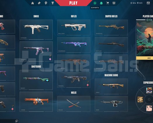 Mainlik Efsane Hesap 445 seviye peak immortal1