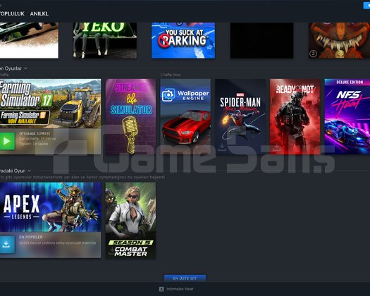 101 oyun nadir oyunlar vardır