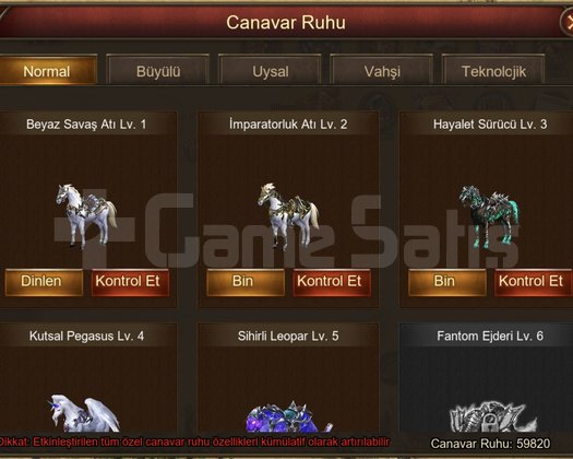 80 Lv Mage Hesap
