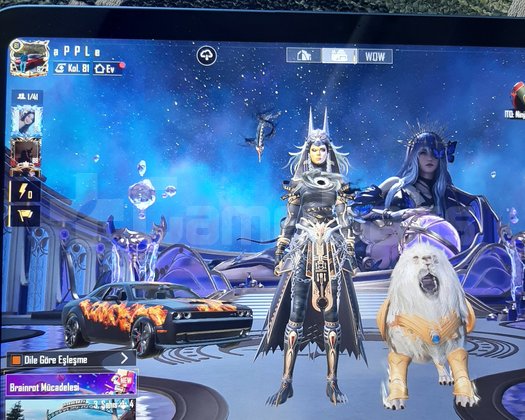 81 kol+300çerçeve+16max silah+2xsuit max+37nihai