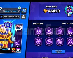46k brawl stars hesap