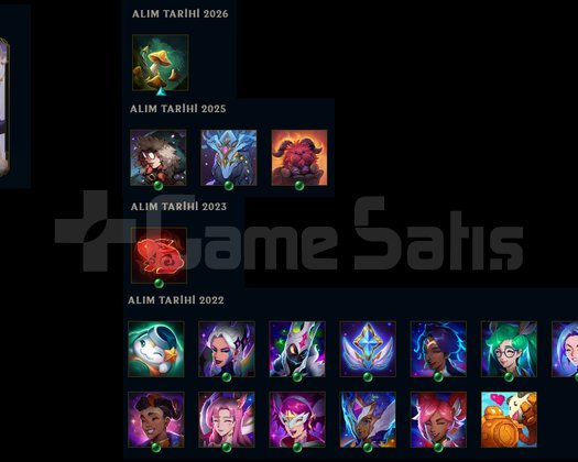 TR HANDMADE UNRANKED 23 HERO 3 SKIN ACC