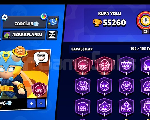 Güzel brawl stars hesabı