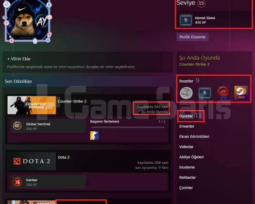 4 MADALYA SEÇKİN +GTA5