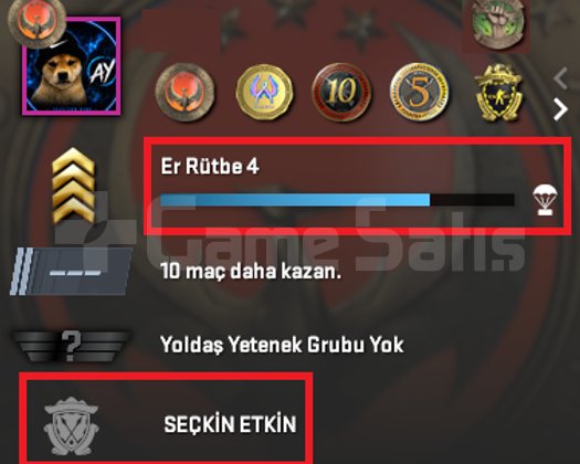 2 NADİR MADALYA +FACEIT 18 YILLIK SEÇKİN HESAP!