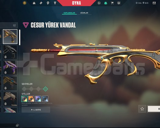 2000 VPLİ DOLU EKONOMİK HESAP