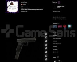 PREMİER HİGH - FACEİT 10 - CS 2 MAİN HESAP