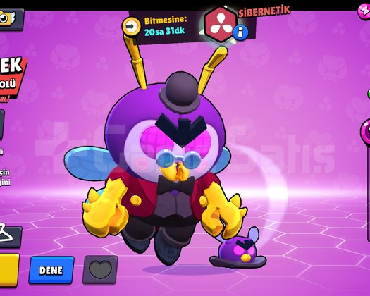 Efsane Brawl Stars Hesabı
