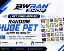 Pet Simulator 99 RANDOM HUGE PET