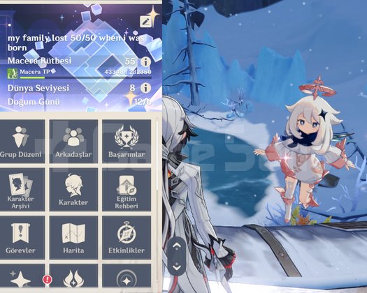 EU AR55 C1 ARLECH + C2 JEAN + C1 MONA BOŞ MAP