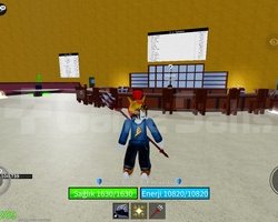 Blox Fruit 1000 Level Hesap