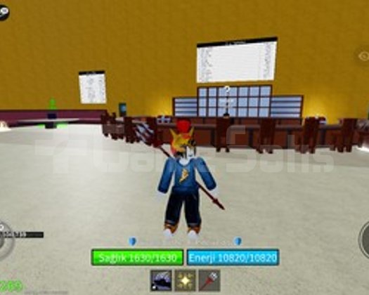 Blox Fruit 1000 Level Hesap