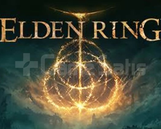 Elden Ring Garanti Hesap !!