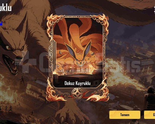9 kuyruklu kart
