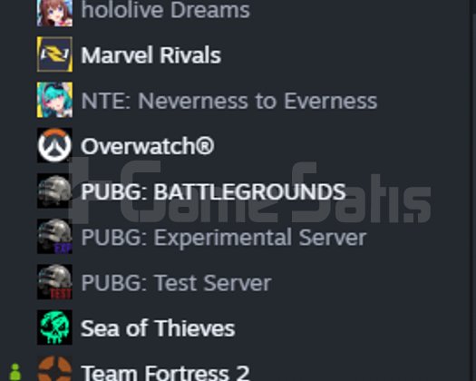 Steam temiz hesap nadir kostümlü
