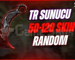 TR | 50 - 120 SKİN GARANTİLİ HESAPLAR / BOŞ YOK