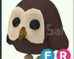adopt me pet fr owl