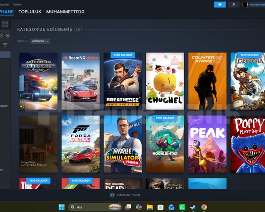 gzel steam hesabı forzalı kacırma
