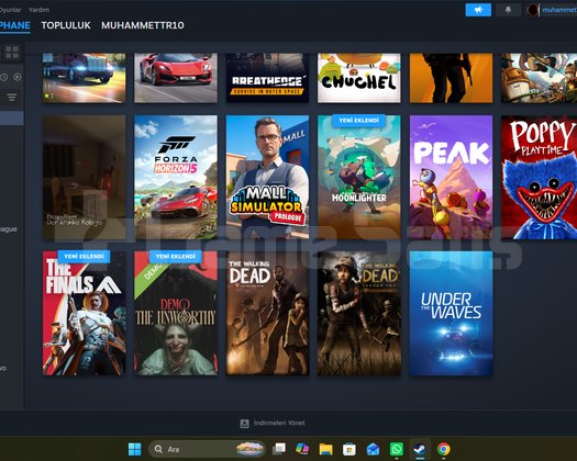 gzel steam hesabı forzalı kacırma
