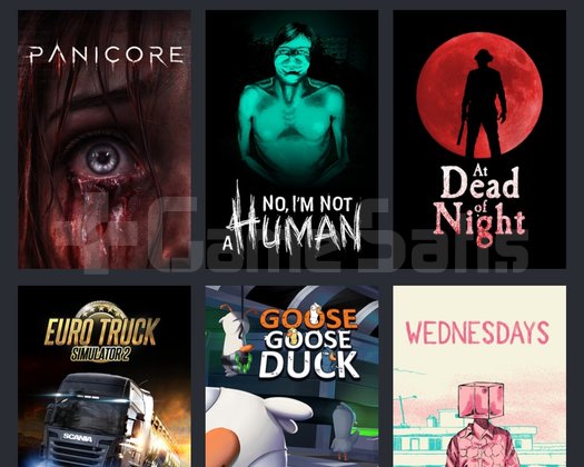 Fotoğraflardaki Full Popüler Oyunlu Steam Hesabı