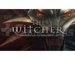 The Witcher Garanti Hesap !!
