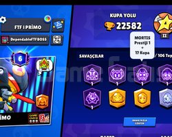 22bin brawl Stars hesabı