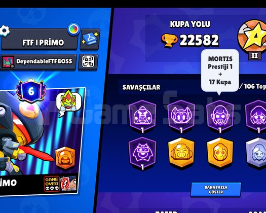 22bin brawl Stars hesabı