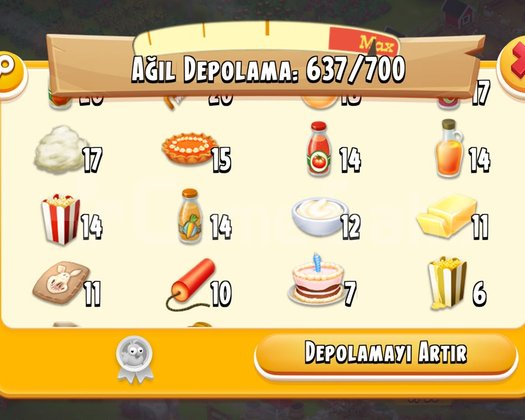 33 LVL ÜRÜN DOLU HESAP