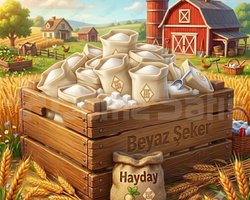 300 ADET BEYAZ ŞEKER