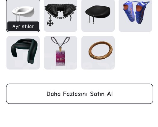 8k robux harcanmış hesap 4tane limited item içinde