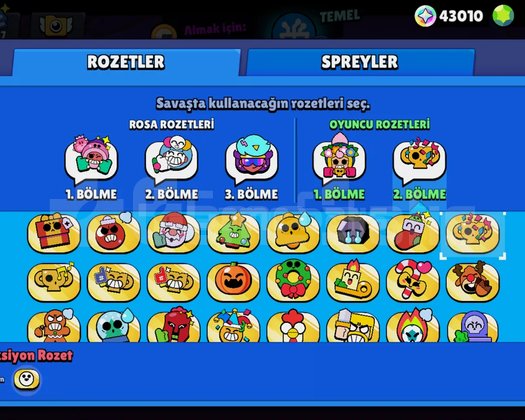 Full 674 Skin Nadir Pin Dolu Pro Rank