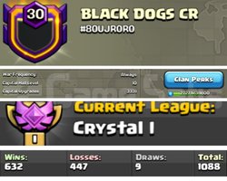 30sv Black Dogs Kristal1 BaşkentMax HemenTeslim