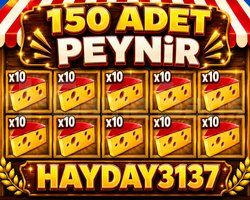KAMPANYA 150 peynir