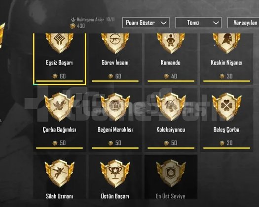 Pubg Mobile Başarım, rp, ünvan
