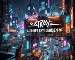 STRAY HER ŞEYİ DEĞİŞEN