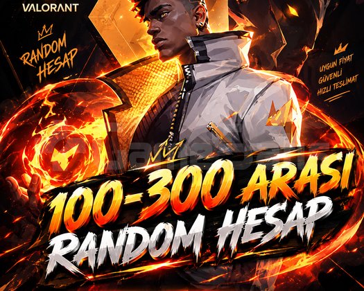 VALORANT Random Hesap | 100-300 Skin
